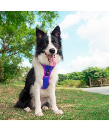 Phoepet Reflective Dog Harness - Adjustable XS (K nigsblau) with Training Handle 2 Metal Hooks & 4 Slide Snaps for Easy Fit - Buy Online on GoSupps.com