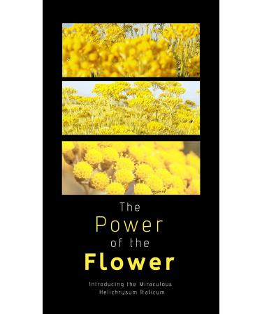 Gold Crystal Cream Serum - Restores Hair Structure, Prevents Frizz and Split Ends - Reveals Natural Shine - 1 Oz - Buy Online on GoSupps.com