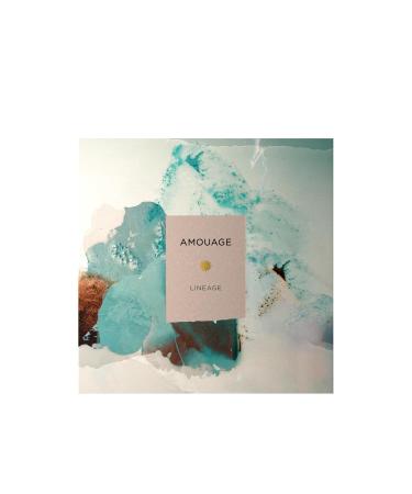 AMOUAGE LINEAGE Eau de Parfum - Universal Fragrance for Men and Women - Buy Online on GoSupps.com