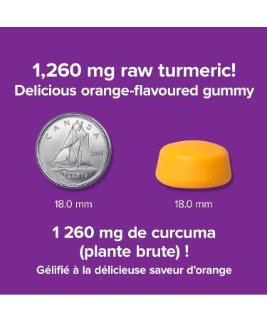 Webber Naturals Turmeric Curcumin Gummy 1 260 mg of Raw Herb 120 Gummies Antioxidant Support Vegan Herbal Supplement - Buy Online on GoSupps.com