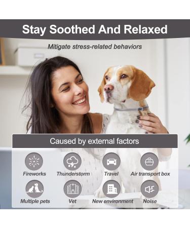 Calming Dog Collar for Anxiety Relief - Pheromone Collar for Dogs in New Environments - Adjustable for Small, Medium, Large Dogs - Grey - 1pc - Buy Online on GoSupps.com