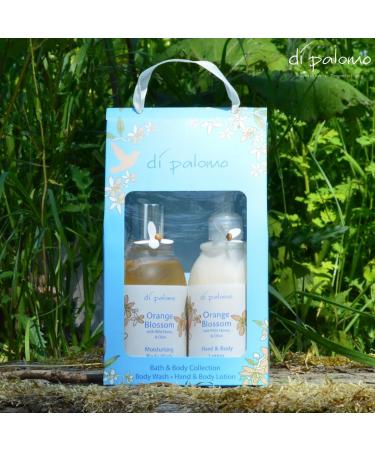 Di Palomo Orange Blossom Duo: Luxurious Body Wash & Lotion for Radiant Skin | International Shipping Available - Buy Online on GoSupps.com