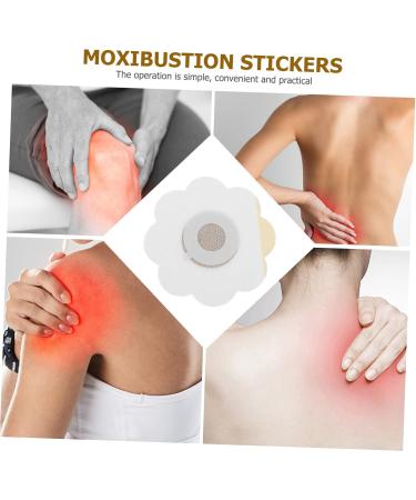 Healeved 10-Piece Moxibustion Heating Patch Set - Back Pain Relief Stickers for Health & Wellness - Buy Online on GoSupps.com