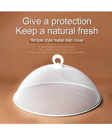 Mesh Food Cover Stainless Steel Round Mesh Food Cover Protector Food Tent for Kitchen Protective Net Dish Cover Outdoor Picnic Food Lid Anti Fly Bugs Mosquitoes (White 35 * 14.5cm) White 35*14.5cm - Buy Online on GoSupps.com