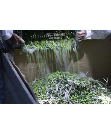 Aceitex Remember Extra Piqu Green Limited Edition olive oil 500 ml - Buy Online on GoSupps.com