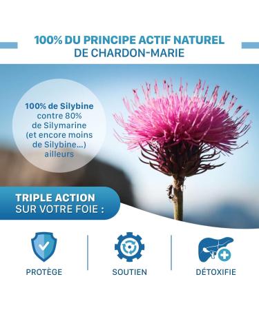 Solmarie Milk Thistle 100% Silybin High Purity Absorption 5 Times Greater than Silymarin via Study Liver Detox and Digestion 60 Capsules Milk Thistle by the French SOLAGE Laboratory - Buy Online on GoSupps.com
