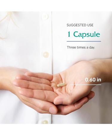 Vitanica Ginkgo Biloba Extract Supports Circulation and Cognitive Health Standardized to 24% Flavone Glycosides 6% Terpene Lactones Vegan Non-GMO Gluten Free 90 Capsules (Ginkgo Pro Logo) - Buy Online on GoSupps.com