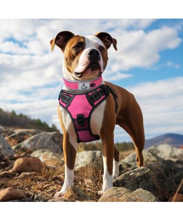 Joytale Softly Padded Neoprene Dog Collar for Extra Large Dogs - Reflective Nylon Bright Pink XL (1-Pack) - Durable Comfortable & Stylish - Buy Online on GoSupps.com