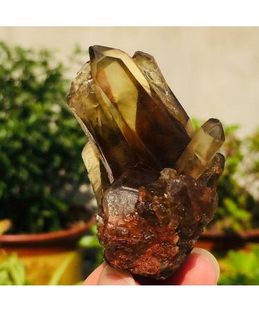65g Natural Black Smoked Citrine Quartz Crystal Cluster Rough Specimen Suitable for Home ERTEYIN - Buy Online on GoSupps.com