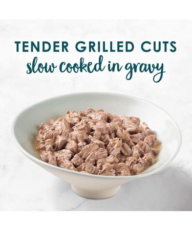 Fancy Feast Gravy Lovers Salmon and Grilled Turkey in Gravy Wet Cat Food Bundle (24 Packs Each) - 4.08 kg Total Cat Food+ Cat Food - Buy Online on GoSupps.com