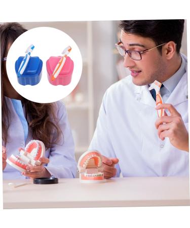 Healeved Baby Toothbrush Set with Storage Box | Oral Care Essentials for Infants - Shop Internationally - Buy Online on GoSupps.com