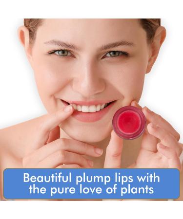 Blue Beautifly Beet-Infused Organic Lip Balm | Hydrating & Moisturizing Tinted Gloss with Peppermint Oil | 2 Pack | USDA Certified | Vitamin E & Jojoba Oil - Buy Online on GoSupps.com