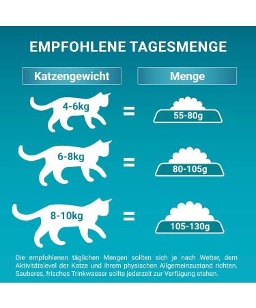 PURINA ONE BIFENSIS STERILCAT Dry Cat Food - Rich in Chicken for Sterilized Cats (5.7kg) - International Shipping Available - Buy Online on GoSupps.com