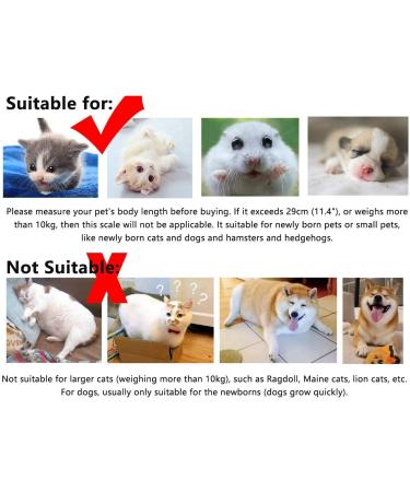Digital Pet Scale Small Animal Scale with LCD Display Digital Food Scale Multifunction Small Puppy Kitten Scale Max Weighing 10kg/22lb for Kitten/Puppy/Hamster/Hedgehog/Tortoise/Food - Buy Online on GoSupps.com