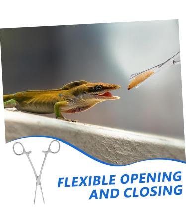 SEWOART Reptile Feeding Clip Lizard Stuff Reptile Tools Gecko Tool Stainless Steel Silver - Buy Online on GoSupps.com