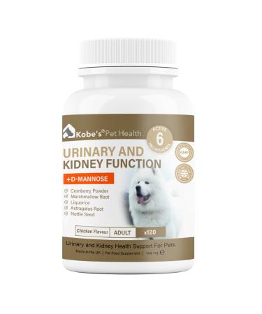Probiotics for Dogs by KOBE S | Digestive Enzyme | Antibiotic for Urinary Tract Infection | Stimulates Immune System & Maintains Overall Health | Dog Yeast Infection Treatment| Dog Diarrhea Treatment