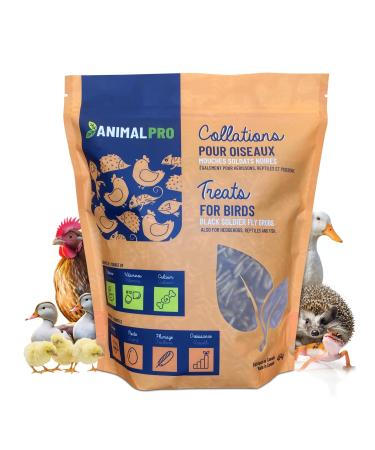 AnimalPro Black Soldier Fly 0 454 Kg (1 Lb)