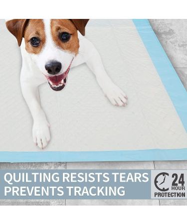 40 Count Dog Pee Pads Extra Large 23.6"x35.4" X-Large Training Puppy Pee Pads Super Absorbent & Leak-Proof XL Disposable Pet Piddle Pad and Potty Pads for Dogs Puppies Doggie -60x90cm - Buy Online on GoSupps.com