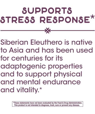 Nature's Way Siberian Eleuthero 250mg - 60 Vegan Capsules for Energy & Wellness - Buy Online on GoSupps.com