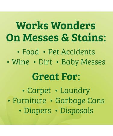 Biokleen Bac-Out Stain+Odor Remover Destroys Stains & Odors Safely for Pet Stains Laundry Diapers Wine Carpets More Eco-Friendly Non-Toxic Plant-Based 32 Ounces - Buy Online on GoSupps.com