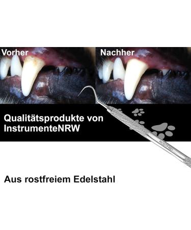 Tartar Remover for Dogs - Stainless Steel Tooth Cleaner & Scaler for Pets | Kausnack Alternative - Buy Online on GoSupps.com