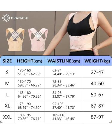 Adjustable Straightener Upper Spine Support Back Brace Posture Corrector 2 L - Buy Online on GoSupps.com