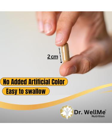 DR WELLME NUTRITION Organic Lion's Mane Mushroom Capsules 500mg 90 Veggie Capsules 3-Month Supply Cognitive Nerve & Immune Health Kosher & Halal Certified Free from Gluten & GMOs - Buy Online on GoSupps.com