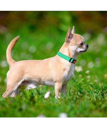 Taglory Soft Padded Neoprene Dog Collar for Puppies Adjustable Reflective & Comfortable Turquoise XS (1 Pack) Perfect for Training & International Shipping - Buy Online on GoSupps.com