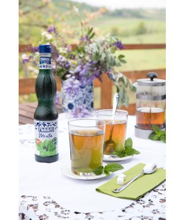 Fabbri Flavoring Syrup Mint Made in Italy 18.9 Ounce (560ml) - Buy Online on GoSupps.com