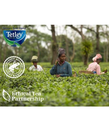 Tetley Ultimate Tea Experience - 6 Refreshing Flavours - English Breakfast Earl Grey Original Decaf Herbal Fresh Mint Pure Green Tea & More - Tea Bags - Pack of 1 x 90 90 Count (Pack of 1) - Buy Online on GoSupps.com