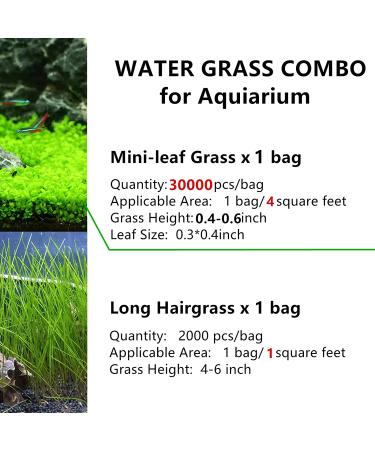 Freshwater Aquarium Plant Seeds Combo - Mini Leaf & Longhair Grass, Small Pearl - Fish Tank Terrarium Decor - Buy Online on GoSupps.com