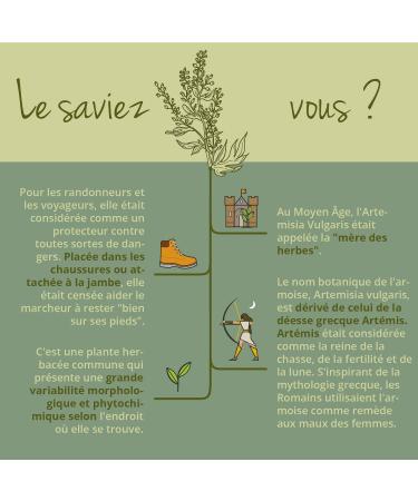 Sagewort Vegavero | High Dosage: 600 mg Artemisia Vulgaris Extract per Capsule | No Additives | 180 Capsules (6 Months) | VEGAN - Buy Online on GoSupps.com