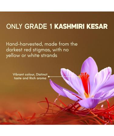 Rasayanam Pure Original Kashmiri SaffronKesarKumkuma Puvvu 1gm Certified highest class A Keshar Saffron for Pregnant Women Pooja Rituals & Food Flavoring Pack of 1 1 g - Buy Online on GoSupps.com