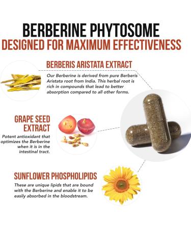 SoActive Berberine 550mg: 9.6X Higher Absorption Clinically Studied Optimized Phytosome | Supports Metabolism & AMPK Activation | Non-GMO Soy-Free | Clinically Validated Dose | 60 Servings - Buy Online on GoSupps.com