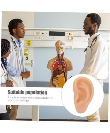 Buy Minkissy Silicone Ear Model - Realistic Ear Teaching & Display Mold for Education | International Shipping - Buy Online on GoSupps.com