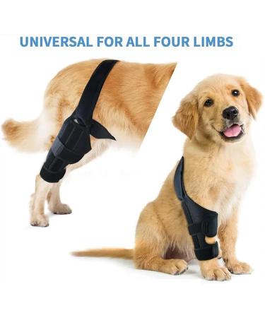 Dog Behind Leg Brace - Professional Knee Support Brace - Support Dog Knee Brace Neoprene Hip Brace Adjustable Traction Belt for Knee for Cruciate Ligament Injury for Torn ACL Leg M right - Buy Online on GoSupps.com