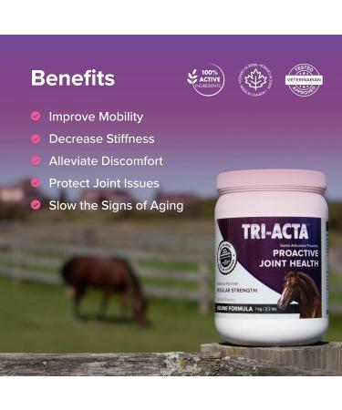 Integricare - Tri-Acta Equine Formula All-Natural Horse Joint Supplement with Glucosamine Chondroitin and Msm for Horses 1kg - Buy Online on GoSupps.com