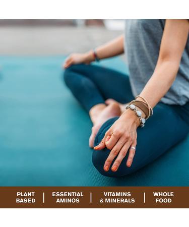 Buy Amazing Grass Vegan Protein & Kale Powder â€“ 20g Organic Protein + 1 Cup Greens, Chocolate Flavor, 15 Servings - Buy Online on GoSupps.com