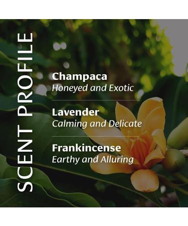 Banyan Botanicals Body Oil - Lightweight Ayurvedic Skin Care | Organic Jojoba Oil Non-Greasy Non-GMO Cruelty-Free | 4 oz Massage Oil for Soft Smooth Skin - Buy Online on GoSupps.com