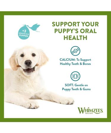WHIMZEES Puppy Stix Natural and Grain Free Dog Chews Puppy Dental Sticks 28 Pieces Size XS/S 28 g (Pack of 1) Extra Small to Small Breed (2-9kg) - Buy Online on GoSupps.com
