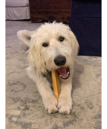 EcoKind Gold Yak Dog Chews | Grade A Healthy & Odorless Treats for Dogs - Buy Online on GoSupps.com