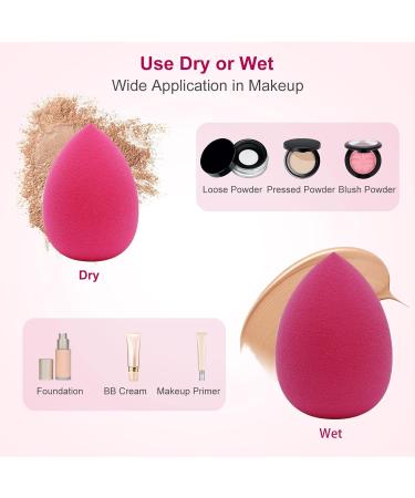 DUAIU Beauty Blenders 6PCS Makeup Sponge Set - Non-Latex Foundation Sponge for Liquid, Creams, and Powders - Buy Online on GoSupps.com