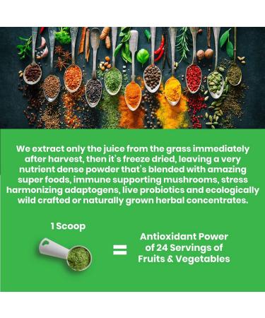 Paradise Herbs ORAC-Energy Greens 12.8 oz - Superfood Powder for Antioxidant Support - Buy Online on GoSupps.com