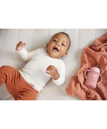 Glass Sippy Cup with Silicone Sleeve & Handles - 150ml Rose Pink for Babies 6m+ - Buy Online on GoSupps.com