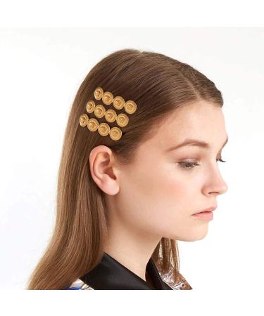 Kakaco Vintage Hair Clips Barrettes Coin Bobby Hair Pin Fashion Hair Accessories for Women and Girls (Pack of 3) (Gold)
