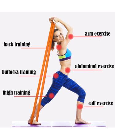 Pull Up Assist Resistance Exercise Bands Set of 4 Elastic Stretch Resistance Band- Powerlifting Bands - by Perfect for Body Stretching Powerlifting Physical Resistance Training Home Workout Black - Buy Online on GoSupps.com