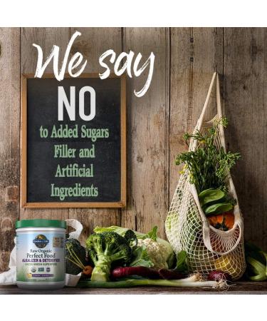 Garden of Life Vegan Green Superfood Powder - Organic Alkalizer & Detoxifier 10.1oz - Raw Whole Food Supplement for Optimal Health - Buy Online on GoSupps.com