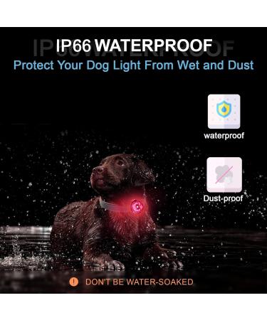 Umione Pet Light: Waterproof & Durable Dog Light for Night Walks - Gift Packaging (Umione-Red-01) - Rouge Unique - Buy Online on GoSupps.com