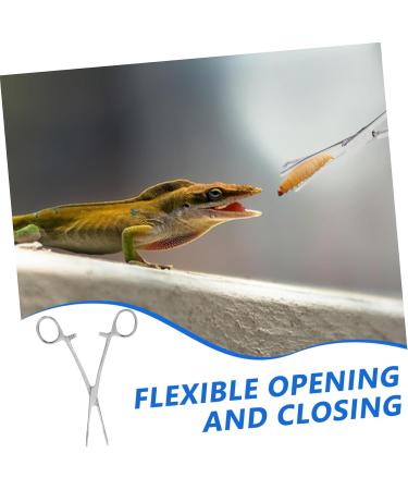 BESPORTBLE Reptile Feeding Clip Cricket Feeder Aquarium Tongs Extra Long Stainless Steel Silver - Buy Online on GoSupps.com