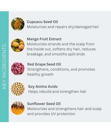 EVOLVh Natural UltraRepair Hair Masque - Vegan, Non-Toxic, Clean Hair Care | 2 fl oz (Pack of 1) - Buy Online on GoSupps.com